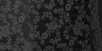 AKSHAR LLC Women's Embroidered Chiffon Dupatta