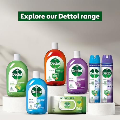 Dettol Liquid Lime Fresh, 550ml - Pack of 2