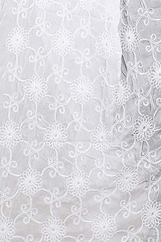 AKSHAR LLC Women's Designer Pure Chiffon Dupatta with Pure Cotton Thread Embroidery Work