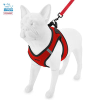 Voyager Step-in Air All Weather Mesh Harness and Reflective Dog 5 ft Leash Combo with Neoprene Handle, for Small, Medium and Large Breed Puppies by Best Pet Supplies - Red/Black Trim, Large Harness Leash Bundle (Red/Black Trim) L (Chest: 18 - 20.5