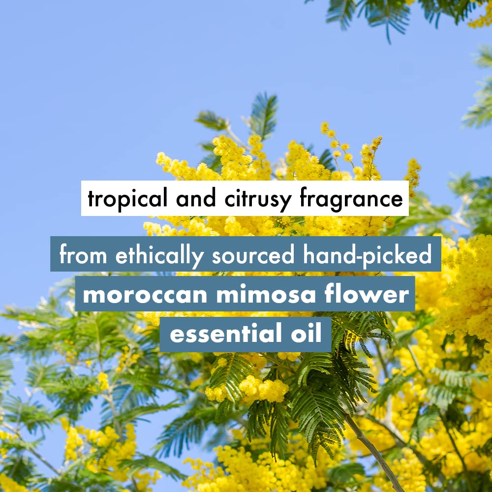 Love Beauty & Planet Coconut Water and Mimosa Flower Sulfate Free Volume and Bounty Shampoo|| No Parabens|| No Dyes|| 100% Organic Coconut Oil|| 200ml
