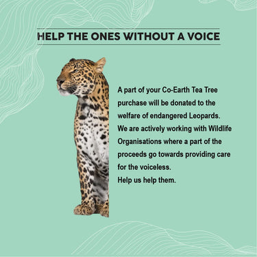 Colorbar Co-earth Tea Tree Face Mask 100g I For acne prone and oily skin I Goodness of Tea Tree and Turmeric Oil I Antibacterial I Purify skin