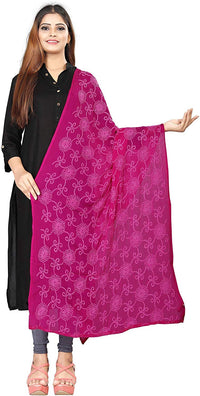 AKSHAR LLC Women's Designer Pure Chiffon Dupatta with Pure Cotton Thread Embroidery Work