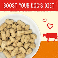 Stella & Chewy's Stellas Solutions Digestive Boost Grass-Fed Beef Dinner Morsels Freeze-Dried Raw, Protein Rich, Grain Free Dog Food 13 oz Bag