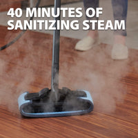 Wagner Spraytech C900054 905e AutoRight Multi-Purpose Steam Cleaner, 12 Accessories Included, Power Steamer for cleaning, Color May Vary 905 Steam