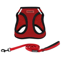 Voyager Step-in Air All Weather Mesh Harness and Reflective Dog 5 ft Leash Combo with Neoprene Handle, for Small, Medium and Large Breed Puppies by Best Pet Supplies - Red/Black Trim, Large Harness Leash Bundle (Red/Black Trim) L (Chest: 18 - 20.5