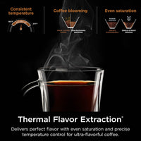 Ninja Specialty Coffee Maker, Hot & Iced Coffee, 6 Brew Styles, 8 Sizes, Small Cup to Travel Mug, 10-Cup Carafe, Fold-Away Frother, Permanent Filter, Removable Reservoir, Black, CM401 10 cup - Stainless Steel