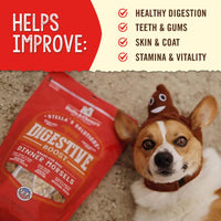 Stella & Chewy's Stellas Solutions Digestive Boost Grass-Fed Beef Dinner Morsels Freeze-Dried Raw, Protein Rich, Grain Free Dog Food 13 oz Bag