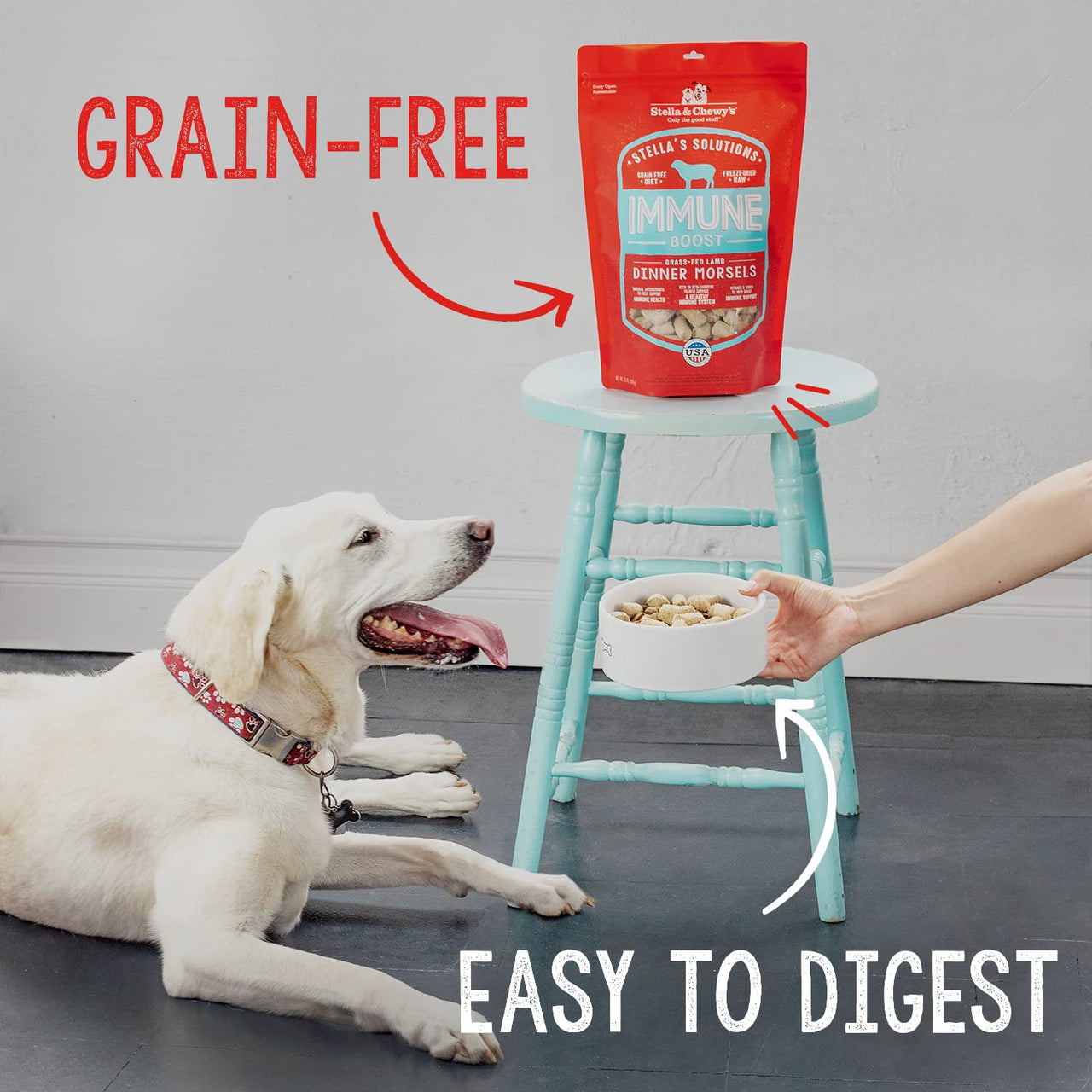 Stella & Chewy's Stellas Solutions Digestive Boost Grass-Fed Beef Dinner Morsels Freeze-Dried Raw, Protein Rich, Grain Free Dog Food 13 oz Bag