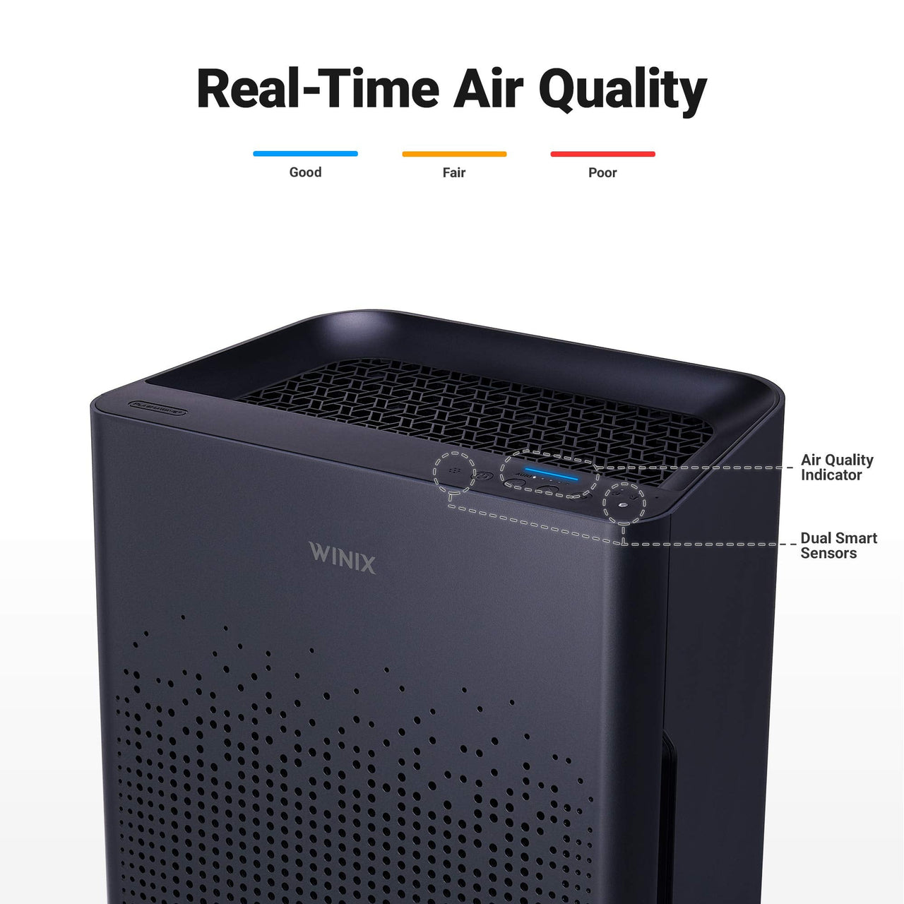 WINIX AM80 Air Purifier for Home Large Room Up to 1740 Ft² in 1 Hr With Air Quality Monitor, True HEPA, Advanced Odor Control Carbon Filter and Auto Mode, Captures Pet Allergies, Smoke, Dust Dark Gray