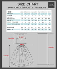 A.T.U.N Girls Lehenga Choli
