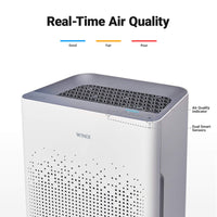 WINIX AM80 Air Purifier for Home Large Room Up to 1740 Ft² in 1 Hr With Air Quality Monitor, True HEPA, Advanced Odor Control Carbon Filter and Auto Mode, Captures Pet Allergies, Smoke, Dust Dark Gray