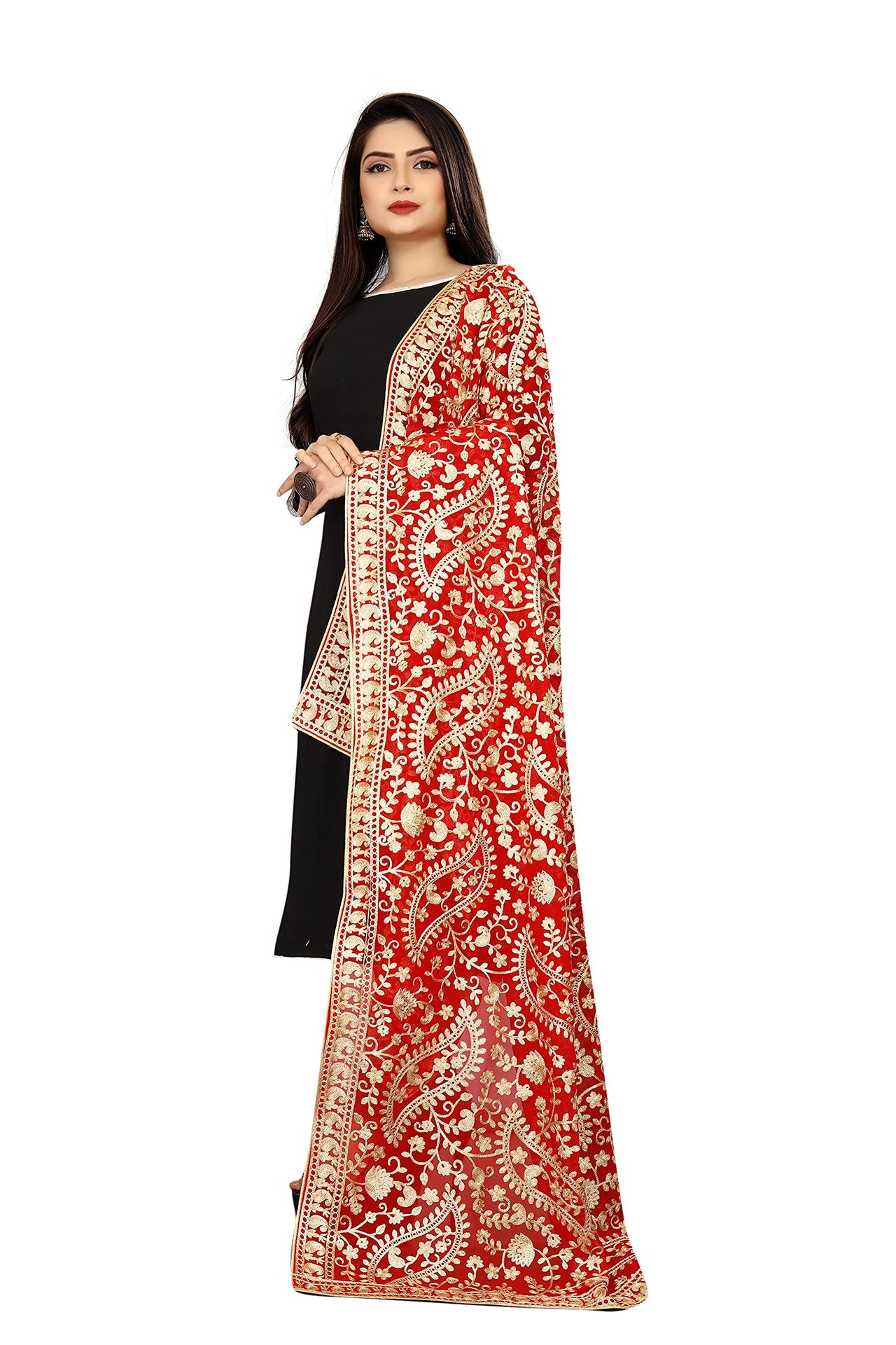AKSHAR LLC Women's Embroidered Chiffon Dupatta