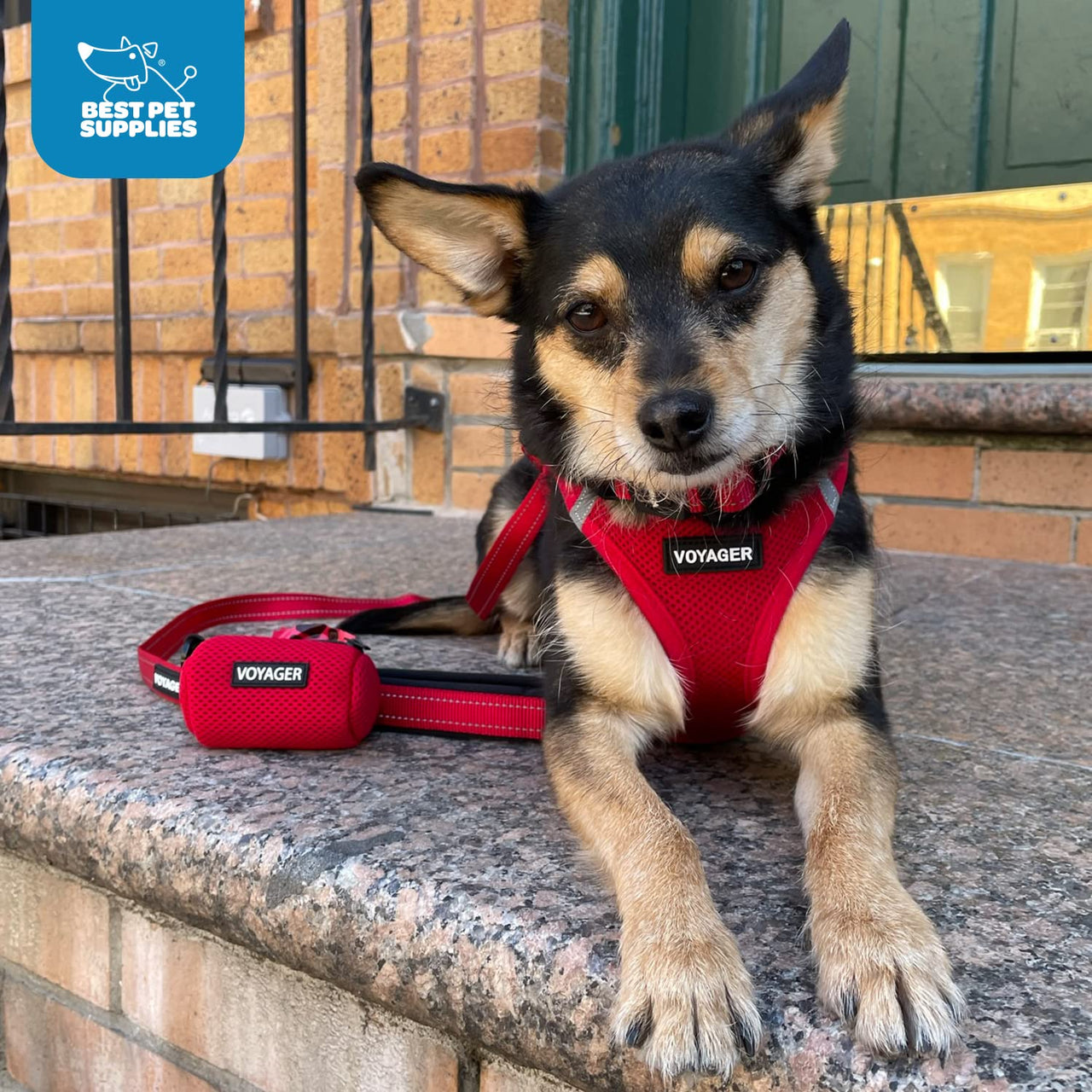 Voyager Step-in Air All Weather Mesh Harness and Reflective Dog 5 ft Leash Combo with Neoprene Handle, for Small, Medium and Large Breed Puppies by Best Pet Supplies - Red/Black Trim, Large Harness Leash Bundle (Red/Black Trim) L (Chest: 18 - 20.5")