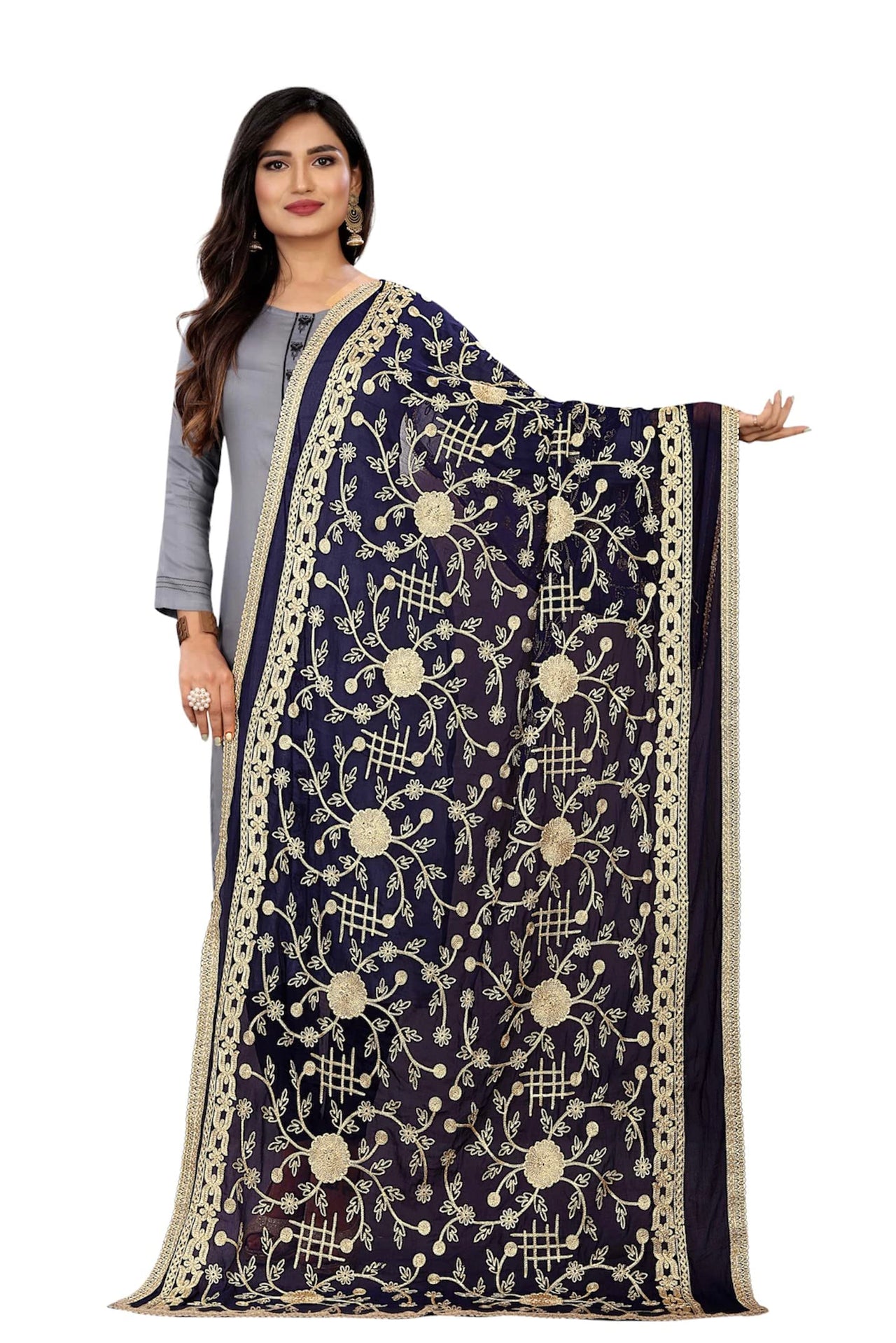 AKSHAR LLC Miss India Women's Chiffon Dupatta With Karachi Embroidery Work
