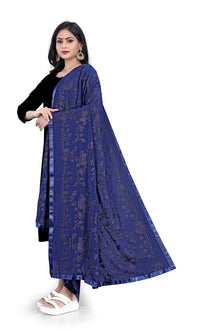AKSHAR LLC Women's Embroidered Chiffon Dupatta