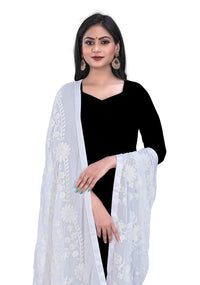 AKSHAR LLC Women's Embroidered Chiffon Dupatta