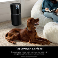 Shark Air Purifier for Home, Office, and Bedroom, Clean Sense Technology, HEPA Air Filter, 1200 Sq Ft, Captures 99.98% of Particles, Pet Dander, Pollutants, Dust, Smoke, Allergens & Smells, HP202 Black 1200 Sq. Ft.