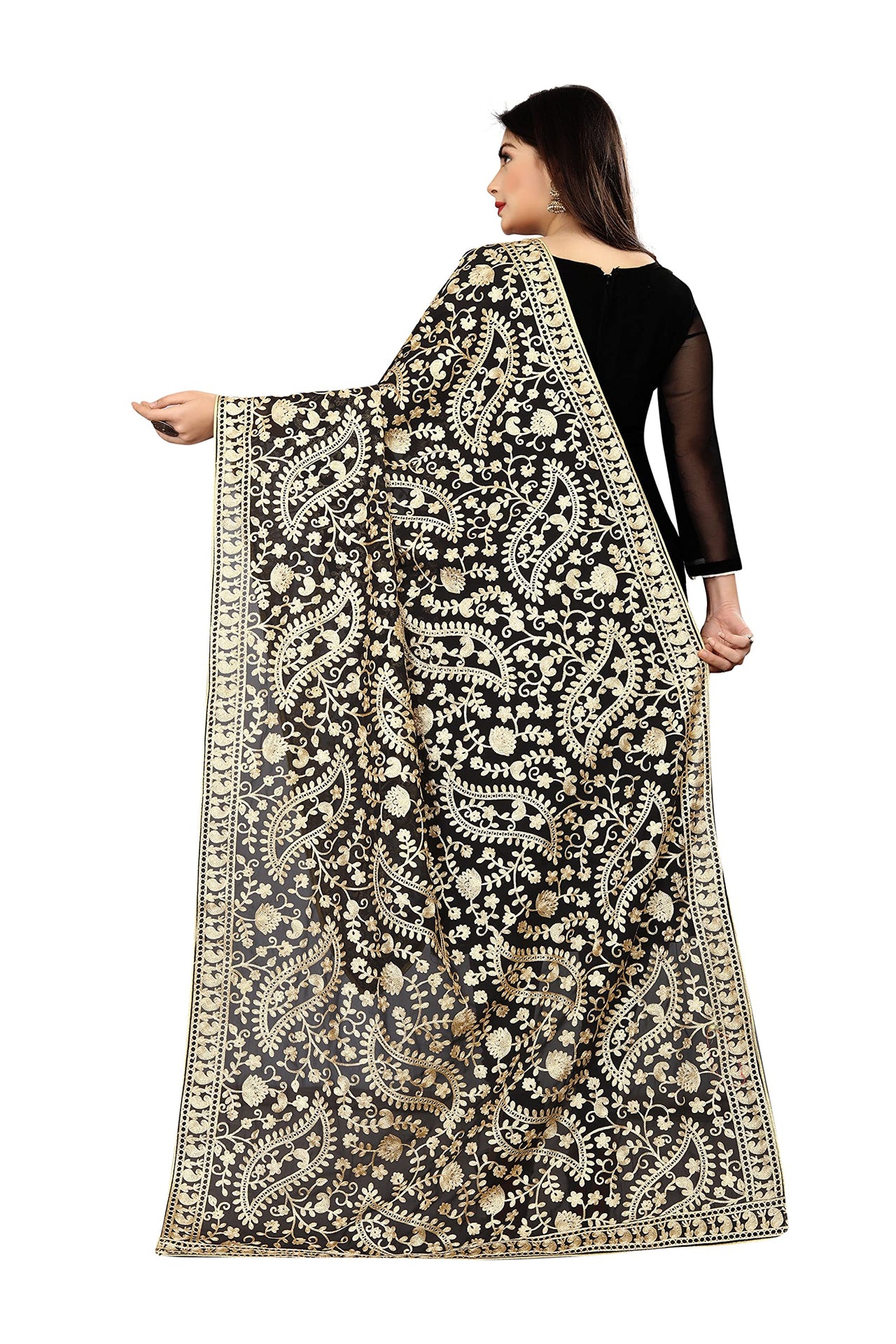AKSHAR LLC Women's Embroidered Chiffon Dupatta