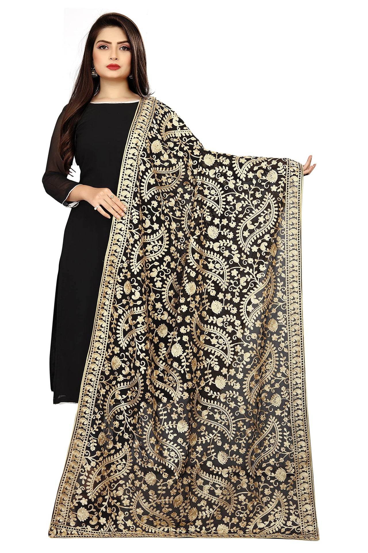AKSHAR LLC Women's Embroidered Chiffon Dupatta