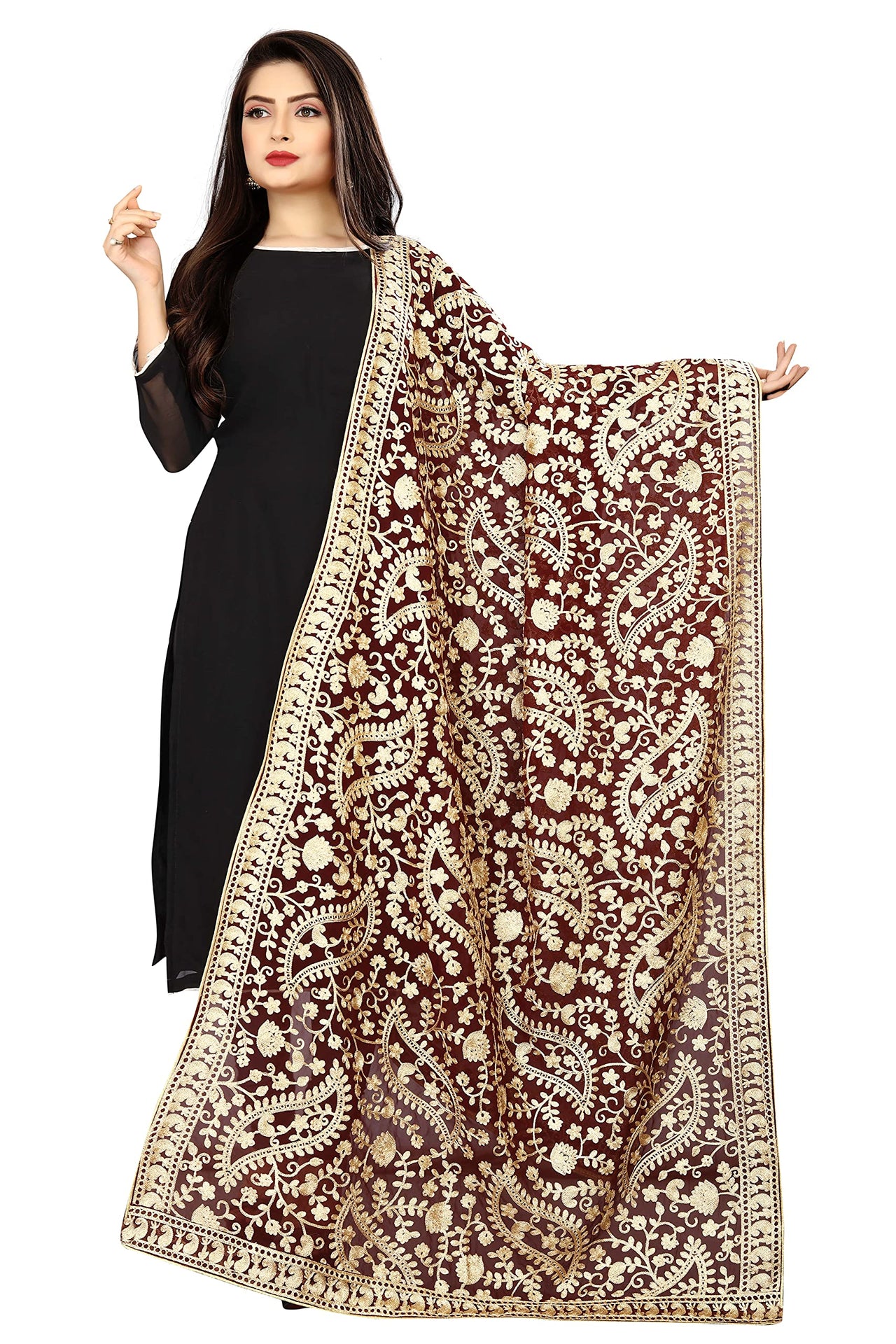 AKSHAR LLC Women's Embroidered Chiffon Dupatta