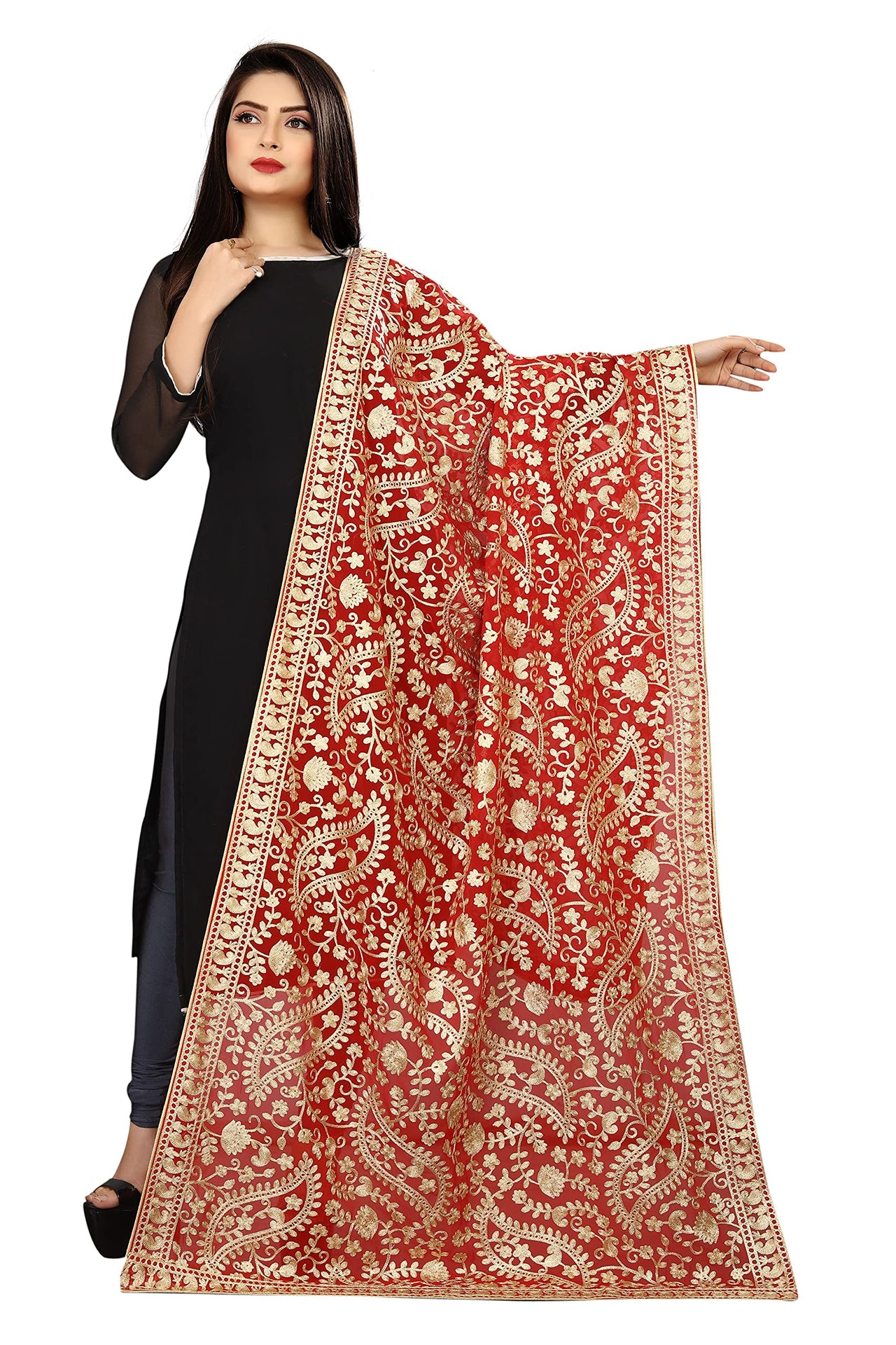 AKSHAR LLC Women's Embroidered Chiffon Dupatta