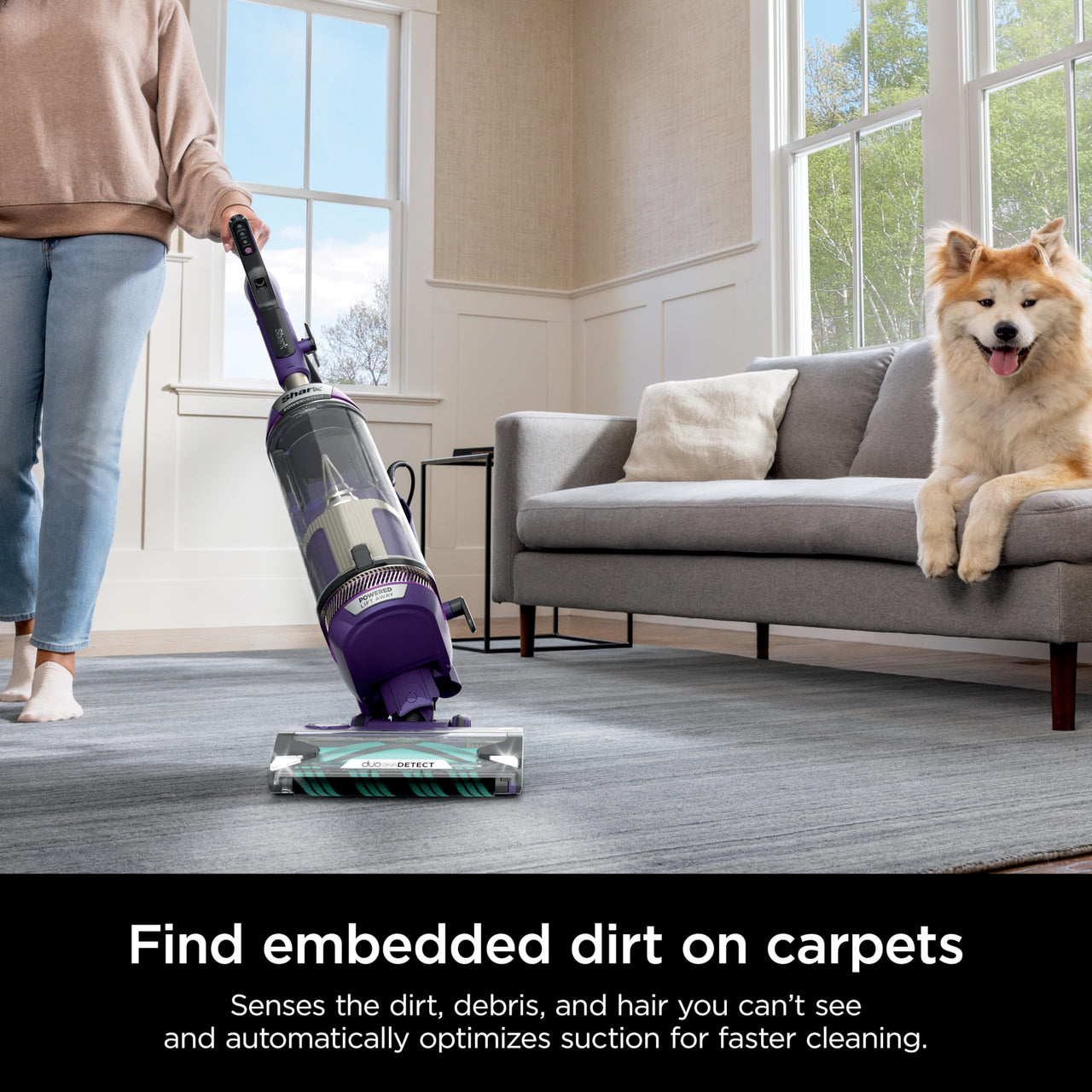 Shark POWERDETECT Upright Vacuum Cleaner with HEPA Filter, Heavy Duty Vacuum with Powerful Suction for Pet Hair Pickup, DuoClean Technology, Powered Lift-Away, Ideal for Carpets & Hardfloors, AZ4002 AZ4002 PowerDetect w/ Odor Neutralizer