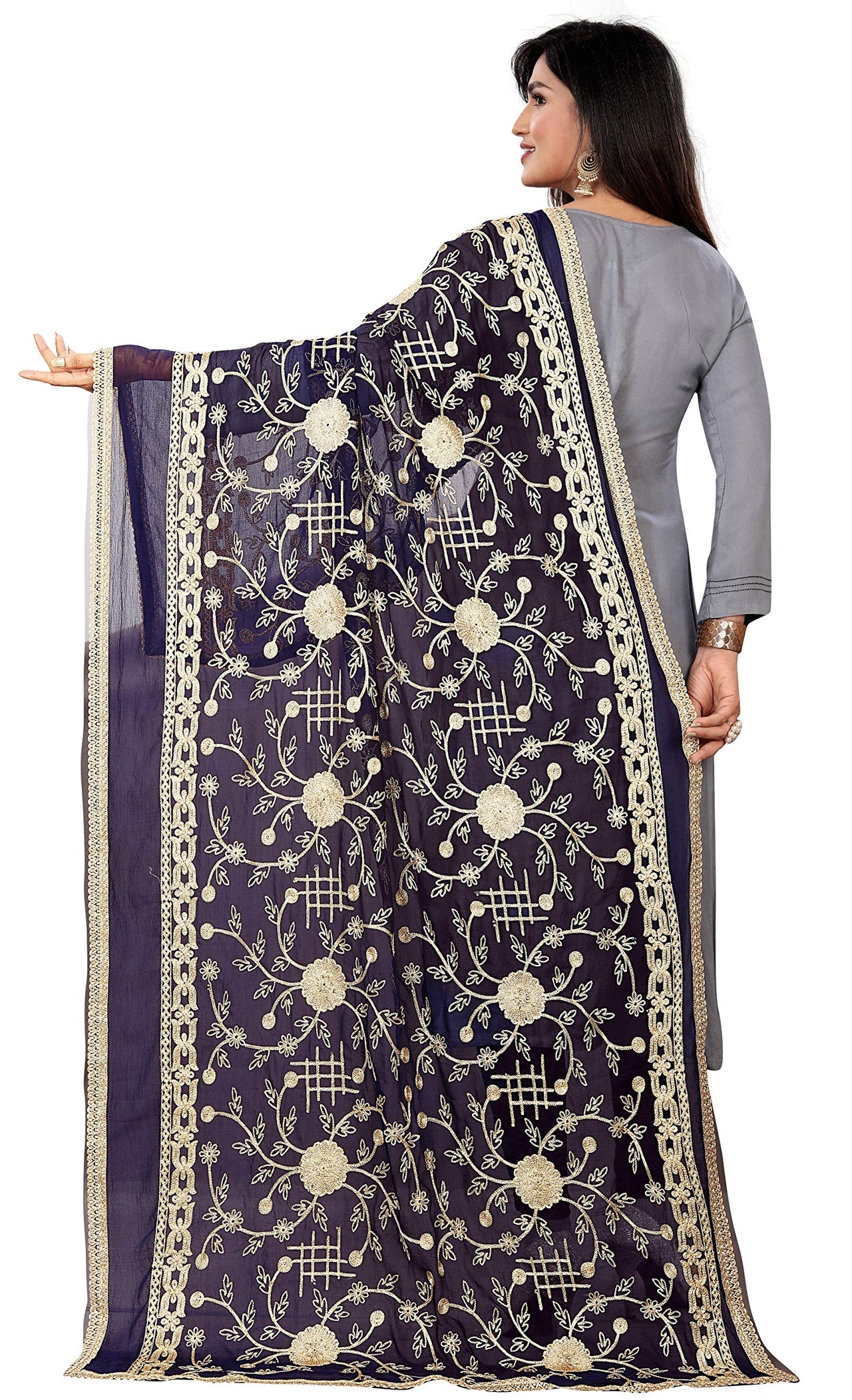 AKSHAR LLC Miss India Women's Chiffon Dupatta With Karachi Embroidery Work