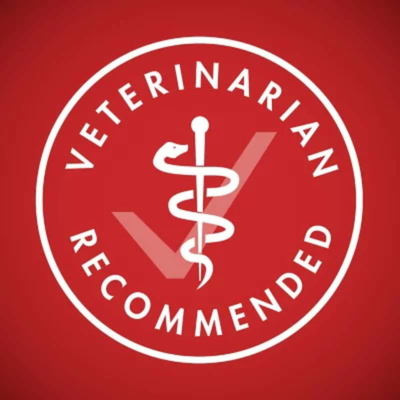 Purina ONE Smartblend Natural Lamb and Rice, Adult Dry Dog Food, 44 Lbs.