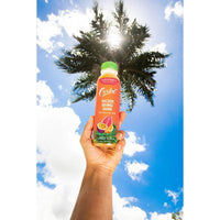 Caribe Cold Pressed Passion Orange Guava Juice Blend, 12 Fl. Oz., 6 Pk.