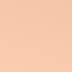 Seven Seas Absolute Compact Powder | Blends Effortlessly | Perfect Coverage | Comfortable Wear | Weightless Texture | Suitable for All Skin Types (02, 16g)