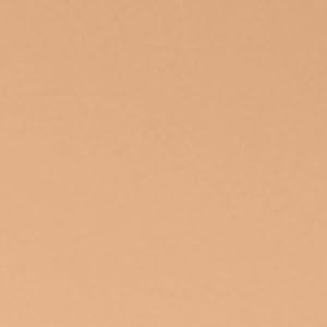 Seven Seas Absolute Compact Powder | Blends Effortlessly | Perfect Coverage | Comfortable Wear | Weightless Texture | Suitable for All Skin Types (04, 16g)