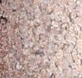 SWISS BEAUTY Loose Foil Pigments Eyeshadow, Eye Makeup, Shade-07, 3G,Multicolor