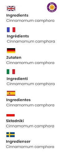 Deve Herbes Pure Camphor Essential Oil (Cinnamomum camphora) Steam Distilled 15ml