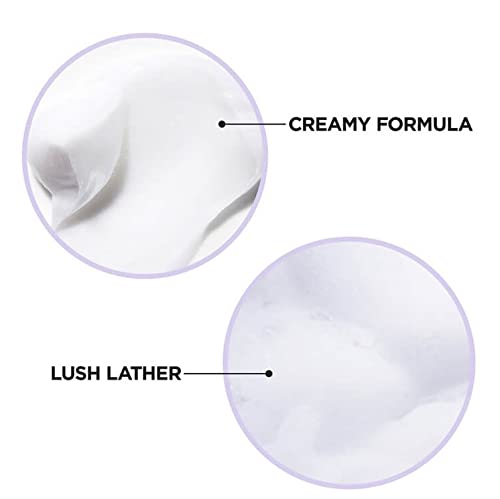 L'Oreal Paris EverPure Moisture Conditioner 8.5-Fluid Ounce