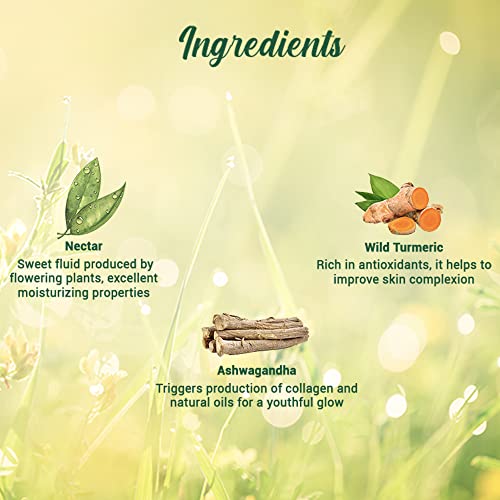 Biotique Morning Nectar Flawless Skin Moisturizer Lotion L Prevents Dark Spots, Blackheads And Blemishes L Visibly Flawless Skin L Nourishes And Hydrates Skin L All Skin Types L 190Ml