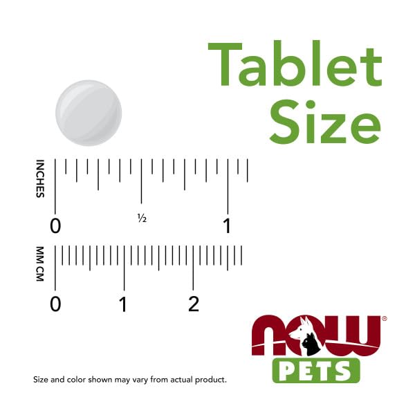 NOW Pet Health, G.I. Support Supplement, Formulated for Cats & Dogs, NASC Certified, 90 Chewable Tablets Light Brown