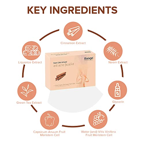 Raaga Professional Stem Cells Infused Anti Acne 6 Step Facial Kit | Cinnamon, Green Grapes, Chilli Pepper Stem Cells | Fights Inflammation | All Skin Types (61 gm)