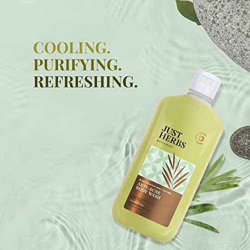 Just Herbs Tea Tree Anti - Acne Body Wash with Plant Salicylic Acid for Men & Women 300 ml