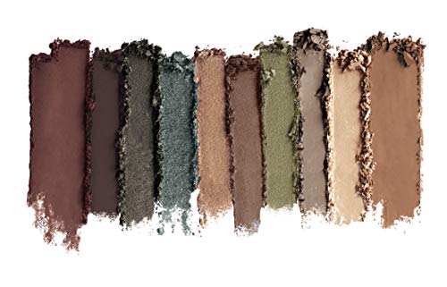 Wet n Wild Color Comfort Zone Icon 10 Pan Palette, (Multicolour, Matte, Shimmery, Satin Finish, 8.5 g)