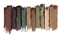 Wet n Wild Color Comfort Zone Icon 10 Pan Palette, (Multicolour, Matte, Shimmery, Satin Finish, 8.5 g)