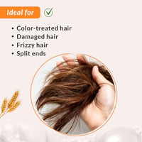 Fixderma Fidelia Strengthening Conditioner with Shea Butter & Wheat Protein for Frizzy & Dry Hair | Conditioner for Women & Men | Hair Conditioner - 100gm (Pack of 1)