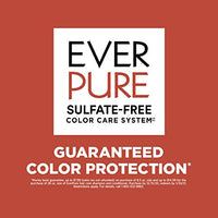 L'Oreal Paris Hair Care Everpure Sulfate Free Frizz Defy Shampoo, 3 Count