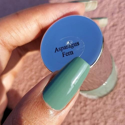DeBelle Gel Nail Lacquer Asparagus Fern (Sea Green) 8ml Enriched With Natural Seaweed Extract, Cruelty Free, Toxic Free (Glossy Finish)