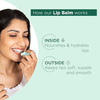 Bella Vita Organic Natural LipBalm for Dry Damaged & Chapped Lips Enriched with Shea Butter, Avocado 4 gm (Pack of 2)