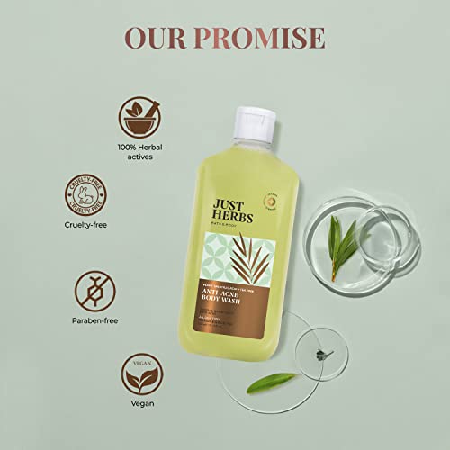 Just Herbs Tea Tree Anti - Acne Body Wash with Plant Salicylic Acid for Men & Women 300 ml