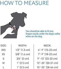 RC Pets 1 Inch Adjustable Dog Clip Collar, Medium, Marrakesh Medium - 1