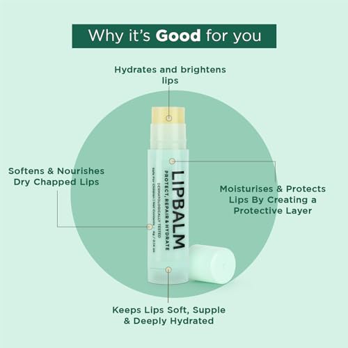Bella Vita Organic Natural LipBalm for Dry Damaged & Chapped Lips Enriched with Shea Butter, Avocado 4 gm (Pack of 2)