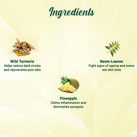 Biotique Pineapple Oil Control Foaming Face Wash | Hydrates dry skin | Eliminates Excess Oil | Evens Skin Tone | 100% Botanical Extracts | Suitable for All Skin Types | 200ml