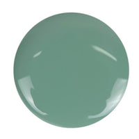DeBelle Gel Nail Lacquer Asparagus Fern (Sea Green) 8ml Enriched With Natural Seaweed Extract, Cruelty Free, Toxic Free (Glossy Finish)